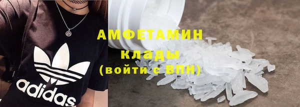 прущие грибы Мегион