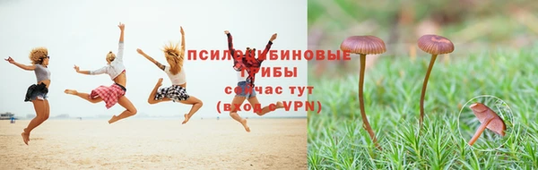 первитин Медногорск