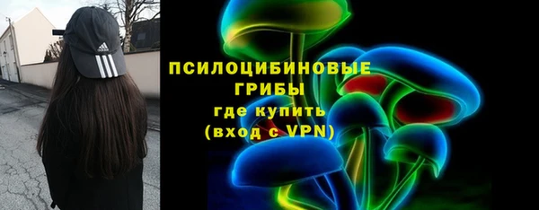прущие грибы Мегион