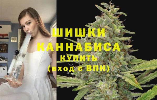 spice Михайловка