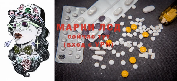 прущие грибы Мегион