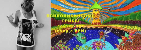 PSILOCYBIN Бронницы