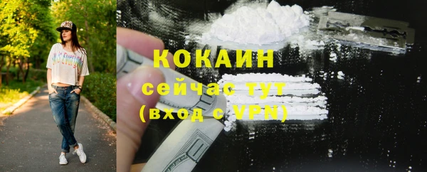 прущие грибы Мегион