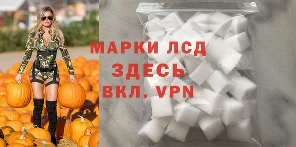 прущие грибы Мегион