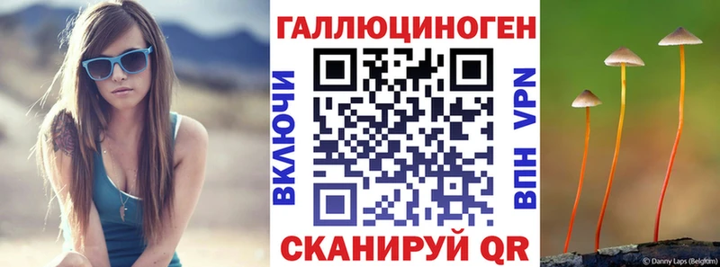 OMG зеркало  Чусовой  Галлюциногенные грибы Psilocybe 